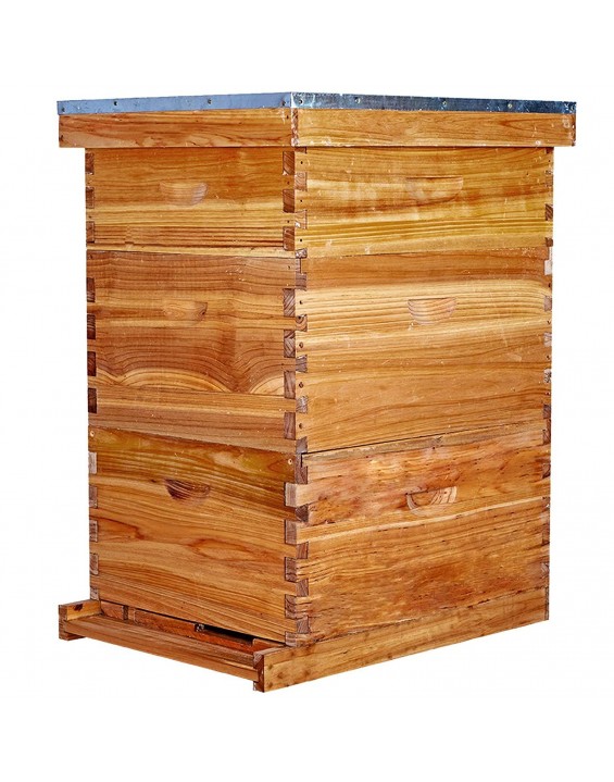 Bee Hive 10 Frame Bee Hives and Supplies Starter Kit, Bee Hive for Beginner, Honey Bee Hives Includes 2 Deep Bee Boxes, 1 Bee Hive Super with Beehive Frames and Foundation