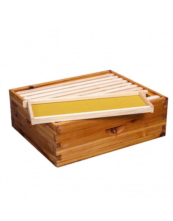 Bee Hive 10 Frame Bee Hives and Supplies Starter Kit, Bee Hive for Beginner, Honey Bee Hives Includes 2 Deep Bee Boxes, 1 Bee Hive Super with Beehive Frames and Foundation