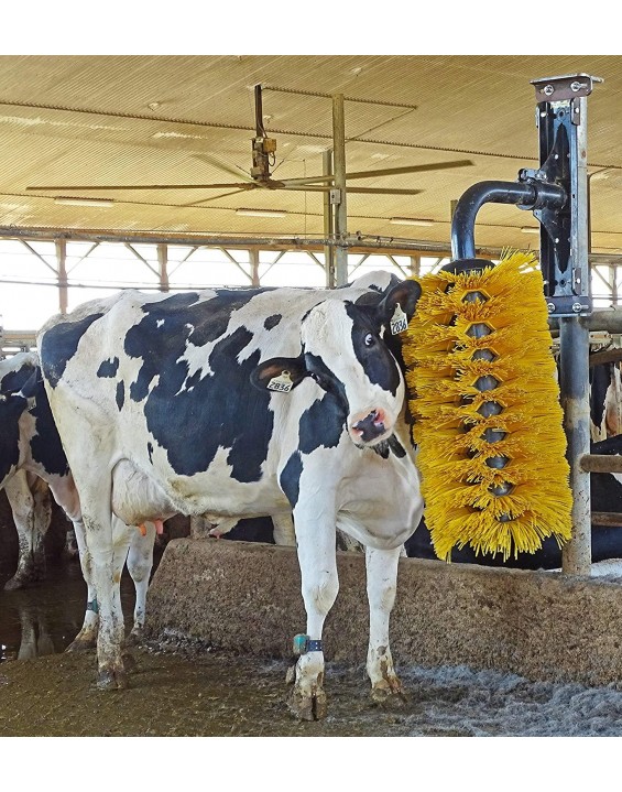 EasySwing Cow Brush - Large - Cow Comfort Cattle Brush - Cow Scratcher Works for Cows, Horses, Goats and Other Livestock - Strong Enough for Bulls