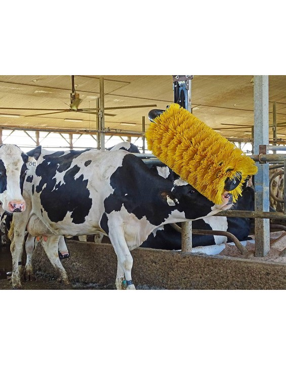 EasySwing Cow Brush - Large - Cow Comfort Cattle Brush - Cow Scratcher Works for Cows, Horses, Goats and Other Livestock - Strong Enough for Bulls