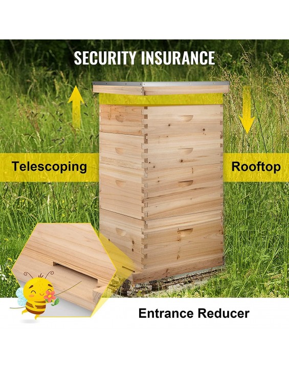 Happybuy Langstroth Bee Hive 4 Layer Langstroth Box 20 Frame Beehive Frames 2 Brood Box 2 Super Box Langstroth Beehive Kit