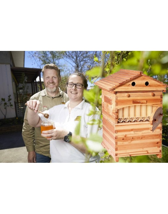 Auto Wooden Beehive Box bee House kit + 7 pcs Honey auto Frame for Beekeeping Starter