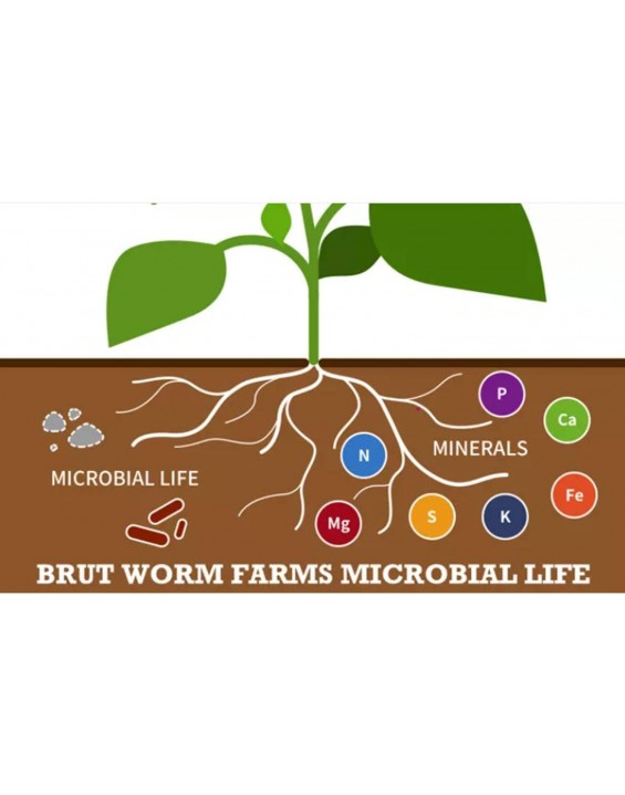 Brut Worm Farms All Natural Organic Worm Castings Fertilizer Soil Builder Potting Mix for Indoor & Outdoor Plants, Lawn, & Garden, 30 LB Bag (10 Pack)