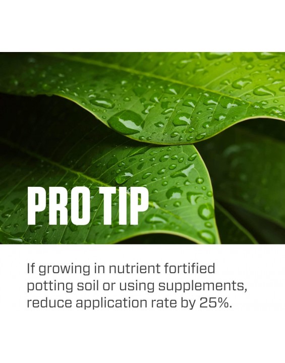 Botanicare Pure Blend Pro Grow Terpene Enhancing Base Nutrient Vegetative Formula, 5-Gallon