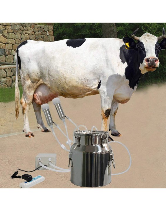 CJWDZ Milking Machine for Goats Cows, Pulsation Vacuum Pump Milker, Milking Supplies W/Stainless Steel Bucket, Portable Suction Machine for Jerseys, Nigerian Dwarfs, Nubian Mix (Cow, 14L)