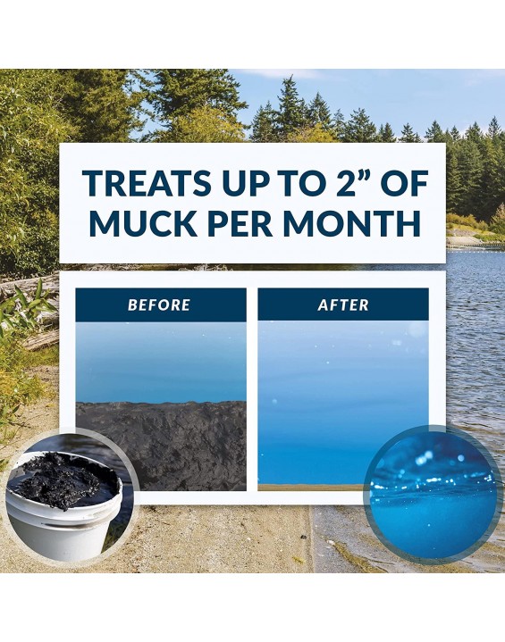 Airmax MuckAway, Natural Pond Muck Remover, Cleans & Clears Away Muck & Sludge, Easy to Use Bacteria & Enzyme Tablets, Safe for The Environment, Treats 1500 Sq Ft, 18 Month Supply, 48 Scoops, 24 lbs