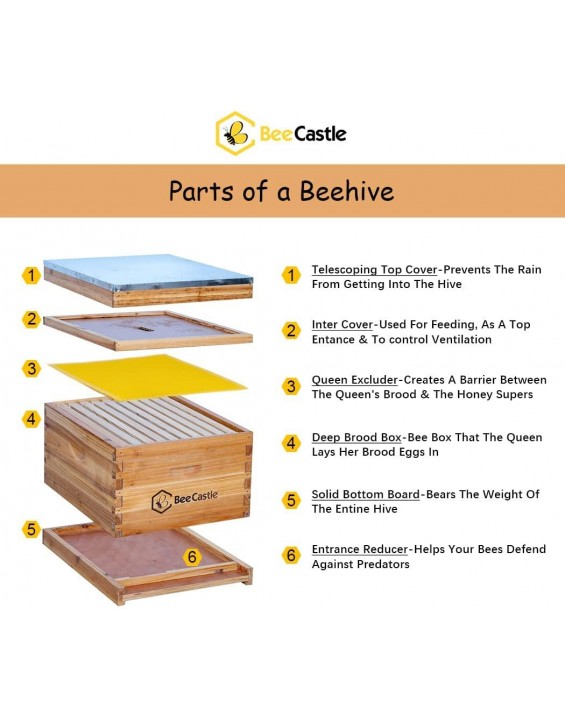 10-Frame Bee Hives and Supplies Starter Kit,Beehive Kit Dipped in 100% Beeswax,Bee Keeping Supplies-All Beginners Kit Includes Beekeeping Supplies Tool Set and Bee Suit.