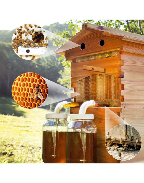 Auto Flow Beehive,Wooden Beekeeping House Beehive Boxes with 7 PCS Auto Bee Hive Frame,Automatic Wooden Bee Hive House Kit,Food Grade BPA (Beehive Frame+Wooden Box)
