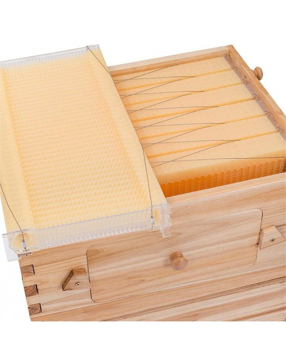 Auto Flow Beehive,Wooden Beekeeping House Beehive Boxes with 7 PCS Auto Bee Hive Frame,Food Grade BPA (Beehive Frame+Wooden Box)