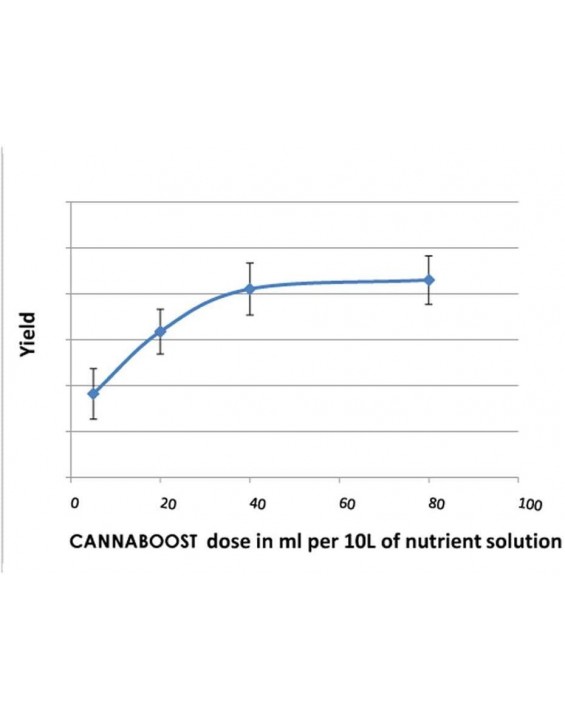Canna Boost, Cannazym, Rhizotonic Plant Additives Hydroponic Nutrient Bundle (5 Liter)