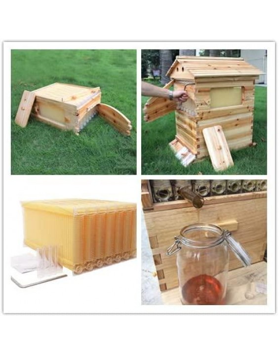7PCS Beehive Complete kit,Auto Beehive Frame fir Wooden Beehive House, Automatic Honey Flow Hive Beehive Frames Kit, Beehives and Supplies Starter Kit for Beekeepers