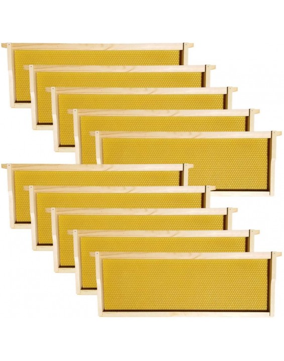 Hoover Hives - Medium Frames & Foundations (100 Pack) - Langstroth Beehive Wooden Frames, Natural Honey Colored Food Grade Plastic Foundations Dipped in Natural Beeswax