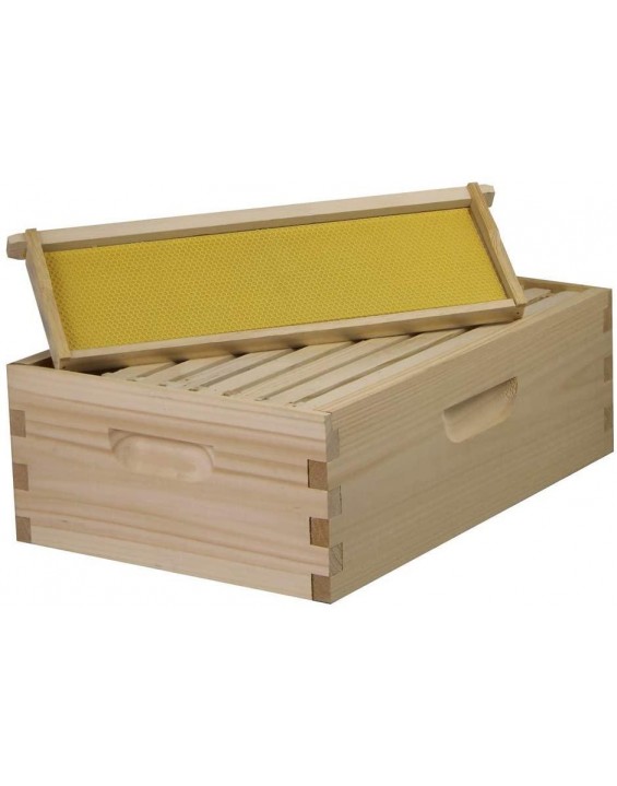 Amish Made in USA Complete 8 Frame Langstroth Bee Hive includes Frames and Foundations (2 Deep, 1 Medium)