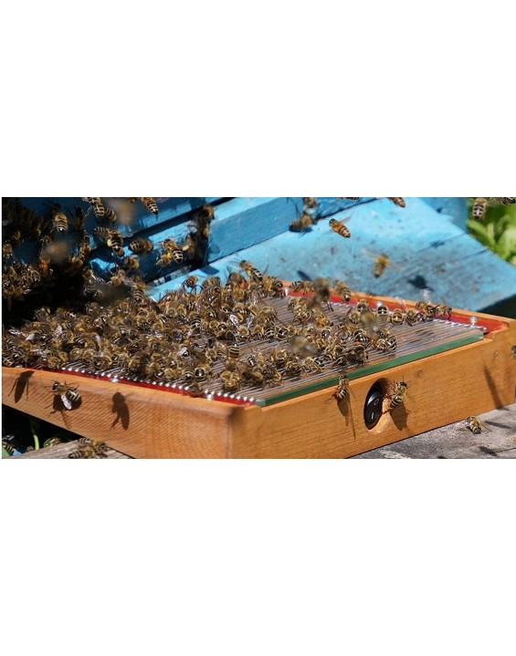 Bee Venom Collectors - BeeWhisper , Beekeeping Equipment
